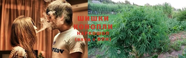 тгк Кодинск